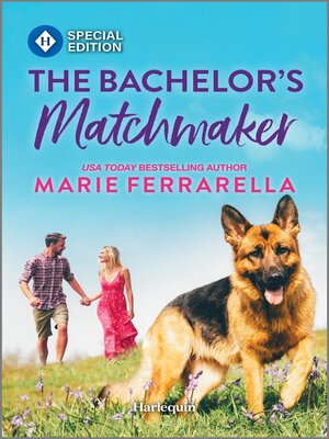 The Bachelor's Matchmaker - ebook